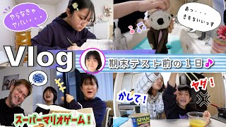 ★Vlog★かんなさん期末テスト前の休日ルーティーン [upl. by Freida]