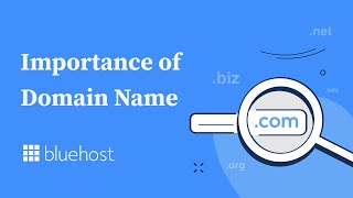 Why Do I Need a Domain Name [upl. by Lan]