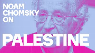 Noam Chomsky How Palestine Could Be Liberated [upl. by Ahgiela721]