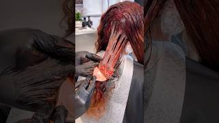 Demi Permanent color for copper or red hair by GuyTang mydentity [upl. by Snahc270]