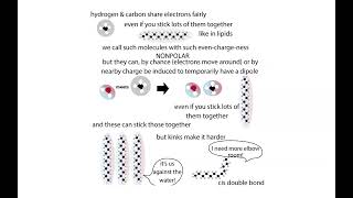 Lipid and membrane biochemistry [upl. by Agan516]