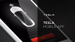 Tesla Mobile App Walkthrough [upl. by Elletsirk]