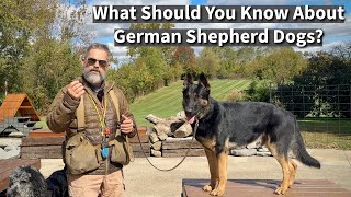 What Should People Know About German Shepherd Dogs [upl. by Irah]