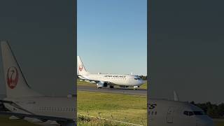 日本航空 B7378 タキシング 秋田空港 738 羽田行き [upl. by Imogen]