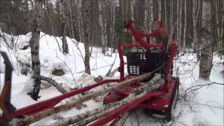 Järnhäst i skogen Jagamedhassese [upl. by Casavant]