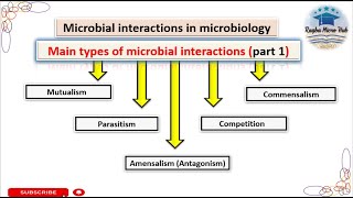 Microbial interactions in microbiology  Mutualism  Communalism  Parasitism  Competition part1 [upl. by Fredie]