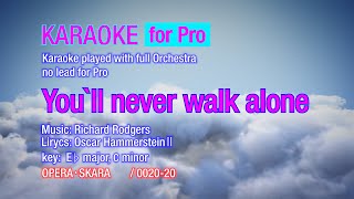 Youll never walk alone  Karaoke with full Orchestra Andrea Bocelli style  no lead instrument [upl. by Htebizile]