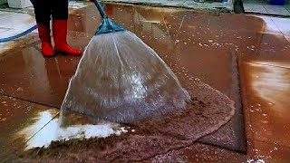 Full Of Slime and Muck Carpet cleaning satisfying ASMR [upl. by Leslie506]