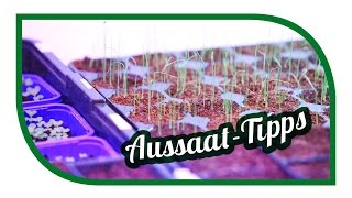 Aussaat amp Gartentipps im Januar 🌱 Jungpflanzenanzucht im Januar 🌱 Selbstversorgung [upl. by Ellesirg]