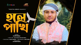 নবী প্রেমিকদের সেরা গজল  Hole Pakhi  হলে পাখি  Shafin Ahmad Kalarab  শাফিন আহমাদ কলরব [upl. by Punak]