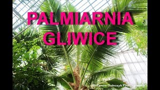 Palmiarnia w Gliwicach [upl. by Dupre]