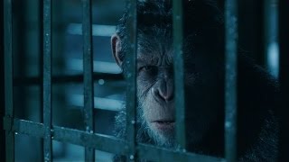 LA PLANÈTE DES SINGES  LA SUPRÉMATIE  Bande Annonce Officielle 2 HD  Français  VF [upl. by Baram251]