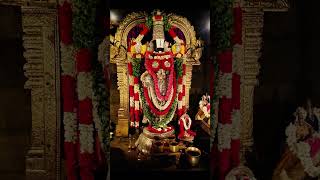 Sri Venkateswara Swami🙏🏻thirupathyvenkateswaradevotionalsongs [upl. by Ardnohs]