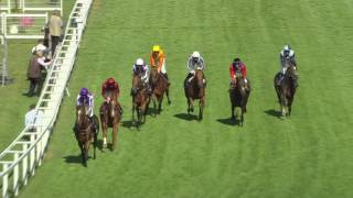 2016 King George VI and Queen Elizabeth Stakes  Highland Reel  Racing TV [upl. by Vergne]