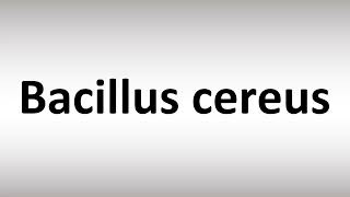 How to Pronounce Bacillus cereus [upl. by Ardella]