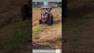 Hard Working Day 170 Dry Hay Spreader In The Field [upl. by Deden]