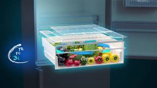 Beko Refrigerator EverFresh Crisper [upl. by Grannia87]