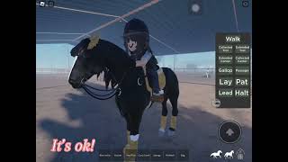 Training my daughters horse  roblox  mse  horses [upl. by Eyllom]