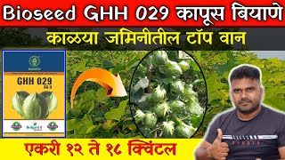 BIOSEED GHH 029 कापूस बियाणे  बायोसीड 029 कापूस बियाणे माहिती  एकरी १२ ते १८ क्विंटल उत्पन्न [upl. by Hollander]