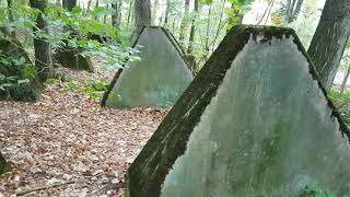 WESTWALL PANZERSPERREN  Höckerlinien  WW2  Ein Waldspaziergang [upl. by Chien]