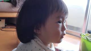 1091歳5ヶ月赤ちゃん「好きなものにquotもう１回quotと言う」 1year 5month old babykid [upl. by Ling]