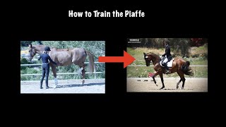 How to Train the Piaffe [upl. by Shifrah]