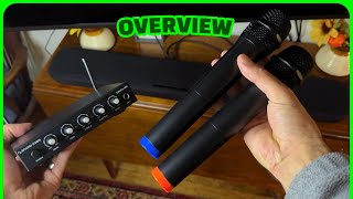 Soundtown Dual Mic Karaoke System REVIEW [upl. by Calli]