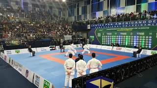 Unsu Kata Equipe com Bunkai  Equipe Bahia  Campeonato Brasileiro de Karate CBK  Salvador 2017 [upl. by Zeke656]