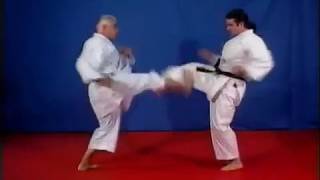 Bunkai  Heian Godan  Par Jean Pierre Lavorato [upl. by Ives]