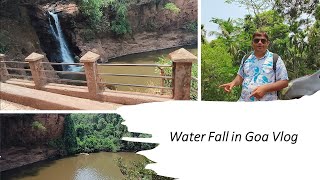 Waterfall goa  Harvalem waterfall goa [upl. by Blisse854]