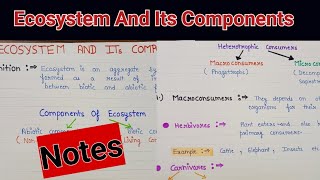 Ecosystem  Ecosystem and its components  Ecosystem and components of ecosystem [upl. by Dovev]