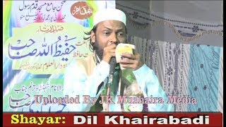 Dil Khairabadi Jalsa Siratun Nabi SAW Mohammadabad Gohna Mau 2017 [upl. by Nhojleahcim]