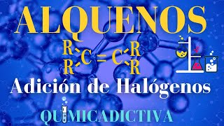 ALQUENOS Adición de halógenos 👨‍🔬QUÍMICA ORGÁNICA [upl. by Stroud]