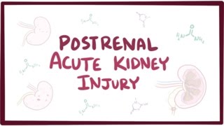 Postrenal acute kidney injury acute renal failure  causes symptoms amp pathology [upl. by Trip]