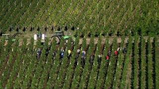 Mosel in Germany BernkastelKues tourism highlights  Moselle travel video [upl. by Evangelia]