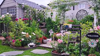 Tiny Backyard Garden Tour Plants and Flowers garden gardening gardentour plants flowers new [upl. by Soloman]