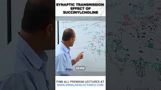 Synaptic Transmission Effect of Succinylcholine drnajeeblectures drnajeeb youtubeshortsvideo [upl. by Demmer]