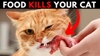 20 Human Foods That can Kill Your Cat With in Few Seconds [upl. by Adniled]