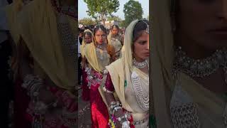 Aadiwasi shadi dance video 2024  Tribal Dance [upl. by Maisel838]