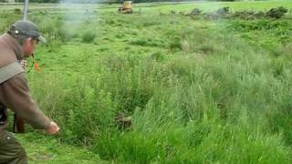 Cocker Spaniel rabbiting  Woodash Gundogs [upl. by Calley722]