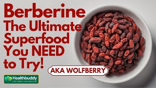 Berberine or Wolfberry  The Ultimate Superfood You NEED to Try [upl. by Enilehcim883]