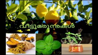 Home Remedies for Baby Cough Fever Colic  Kerala Ayurvedic Remedies [upl. by Nedra114]