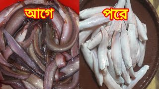 সহজ পদ্ধতিতে শিং মাছ পরিষ্কার করুন। cat fish cutting amp cleanHimus Cook amp Crafts [upl. by Jane]