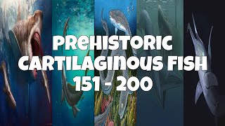 Prehistoric Cartilaginous Fish 151  200 45 [upl. by Duaner]