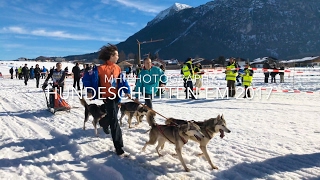 Hundeschlitten EM Inzell 2017 Bayern DJI Osmo 4k Schlittenhunde [upl. by Tinaret756]