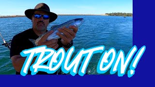 Guide Life How To Catch Rainbows amp Landlocked King Salmon fishing trolling trout salmon [upl. by Korwun]