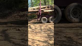 Repeat Process‼️ trending logger loggerlife loggingtruck construction logginglife trailer [upl. by Ovid]