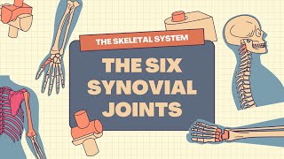 The Skeletal System 6 Synovial Joints in Human Body Science Learning Video [upl. by Glogau]