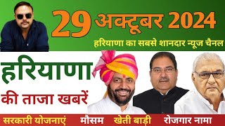 Haryana News 29 October 2024  हरियाणा की खबरें  Hindi News haryana [upl. by Nylhtac521]