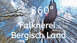 360°  Vr Slideshow  Falknerei  Bergisch Land  Remscheid  Flugshow [upl. by Etteniotnna]